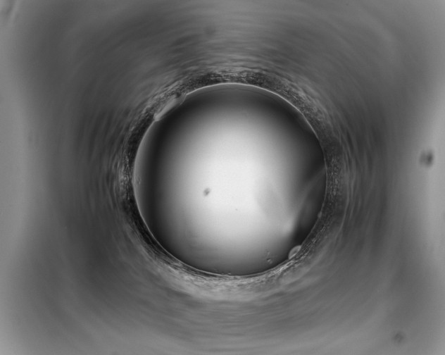 X0000099460040200805091539