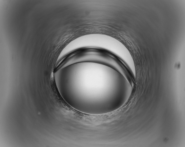 X0000099460041200805091539