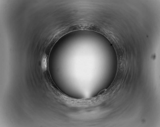 X0000099460042200805091539