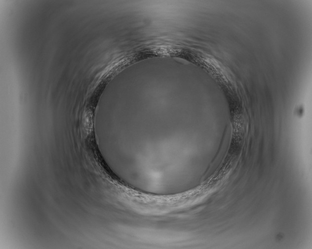 X0000099460043200805091539