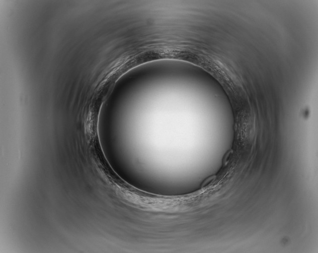 X0000099460044200805091539