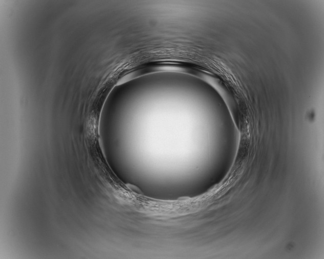 X0000099460045200805091539