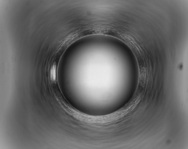 X0000099460046200805091539