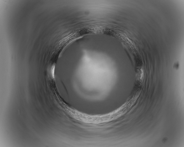 X0000099460047200805091539