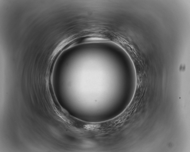 X0000099460051200805091539