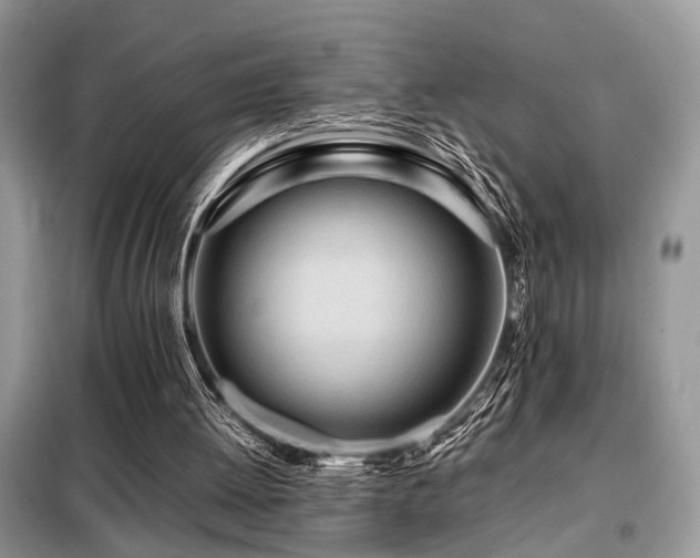 X0000099460052200805091539