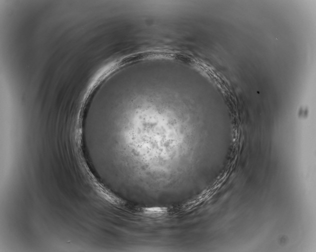 X0000099460053200805091539