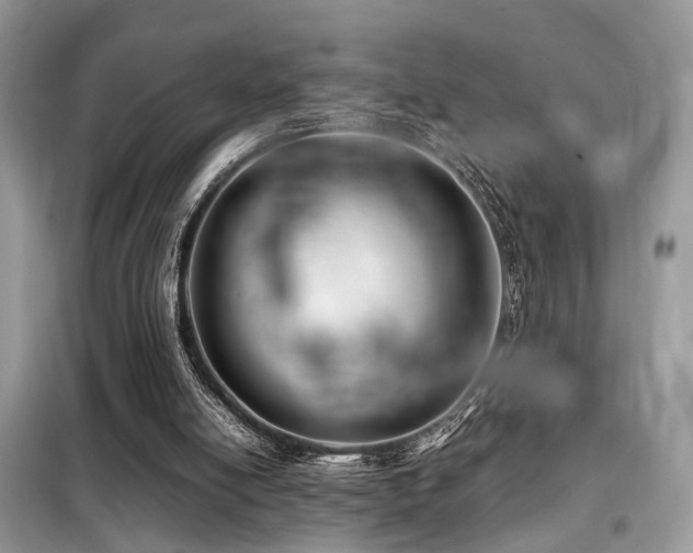 X0000099460054200805091539