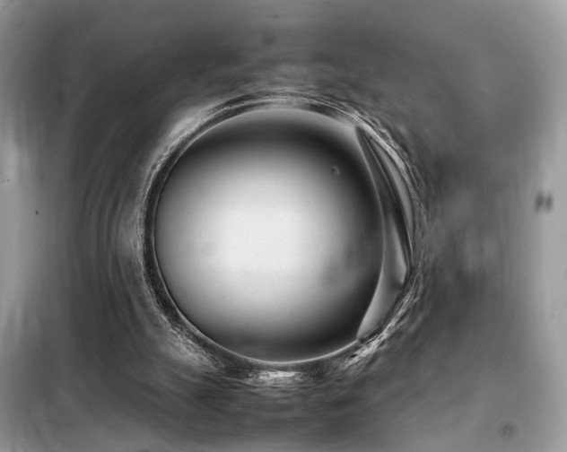 X0000099460055200805091539