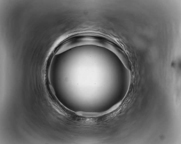 X0000099460056200805091539