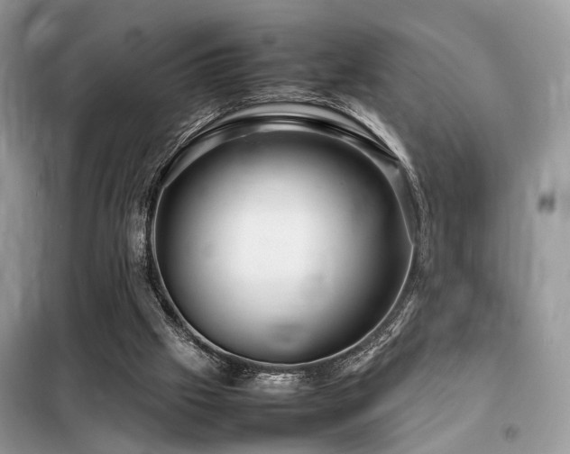 X0000099460057200805091539