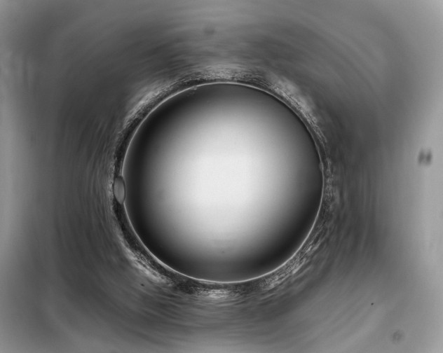 X0000099460058200805091539