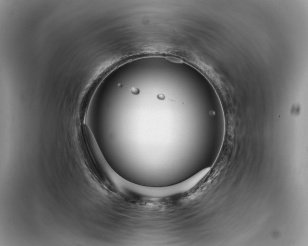 X0000099460060200805091539