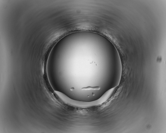 X0000099460062200805091539