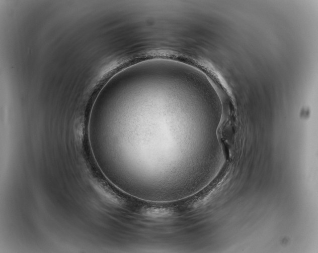 X0000099460063200805091539