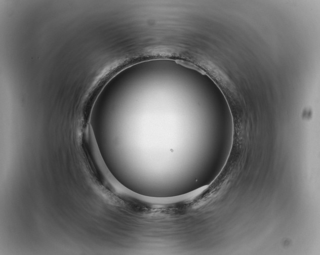 X0000099460064200805091539