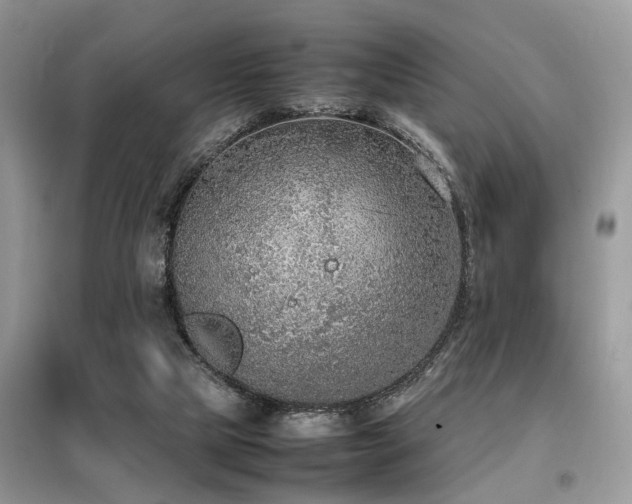 X0000099460065200805091539