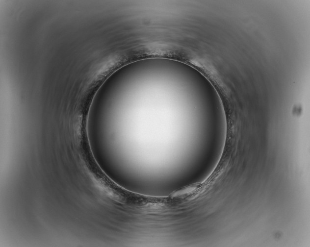 X0000099460066200805091539