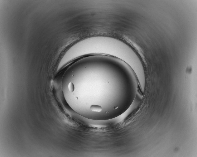 X0000099460067200805091539