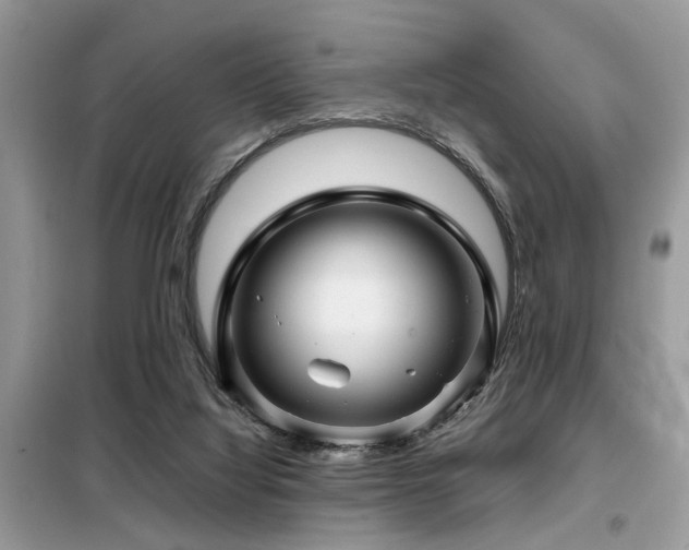 X0000099460068200805091539