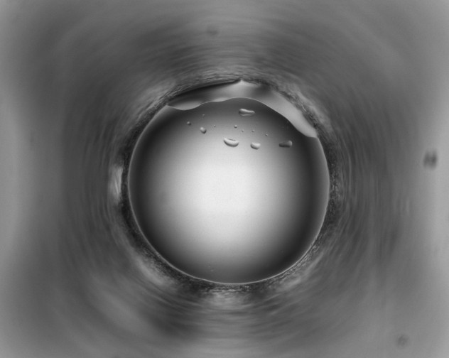 X0000099460070200805091539