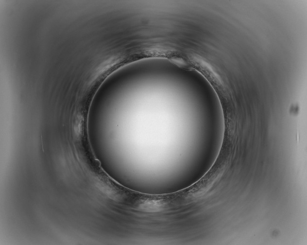 X0000099460071200805091539