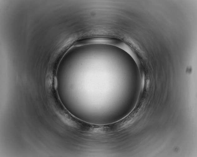 X0000099460072200805091539