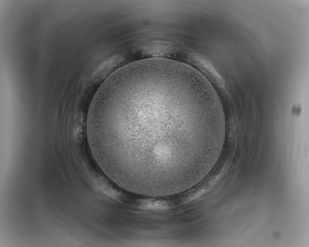 X0000099460073200805091539