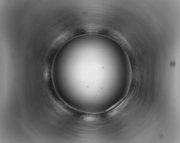 X0000099460074200805091539