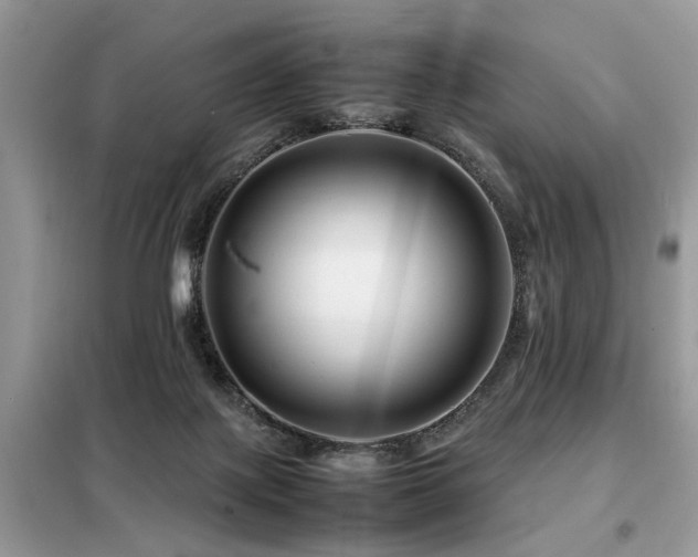 X0000099460075200805091539