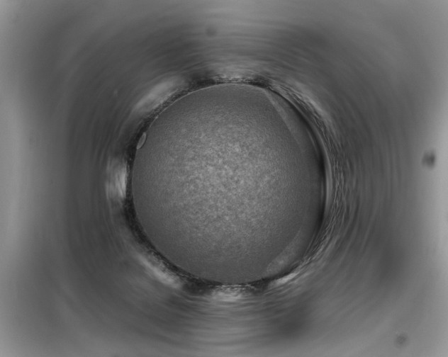 X0000099460076200805091539