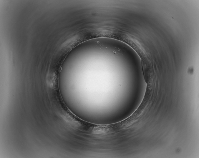 X0000099460077200805091539