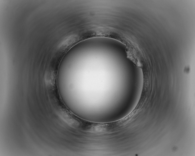 X0000099460078200805091539