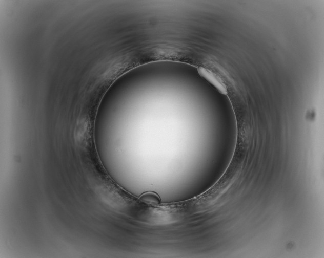 X0000099460079200805091539