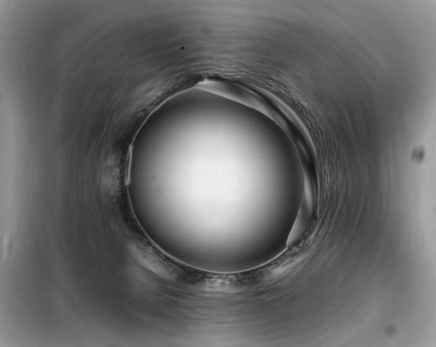 X0000099460080200805091539