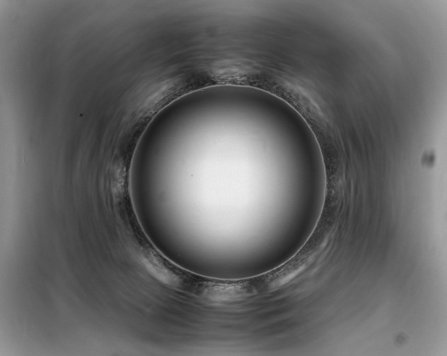 X0000099460081200805091539