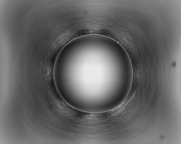 X0000099460082200805091539