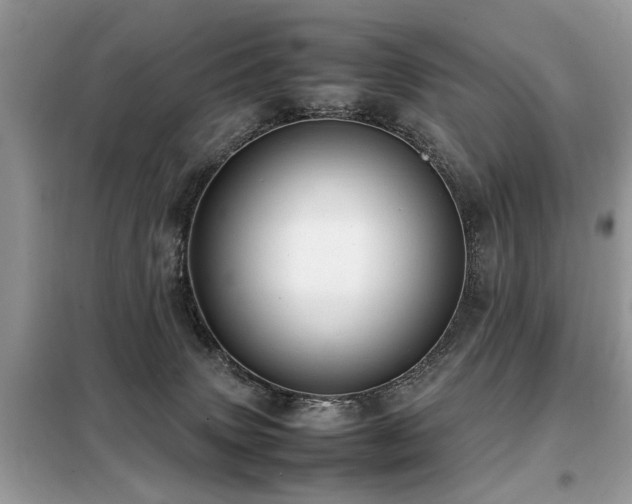 X0000099460083200805091539