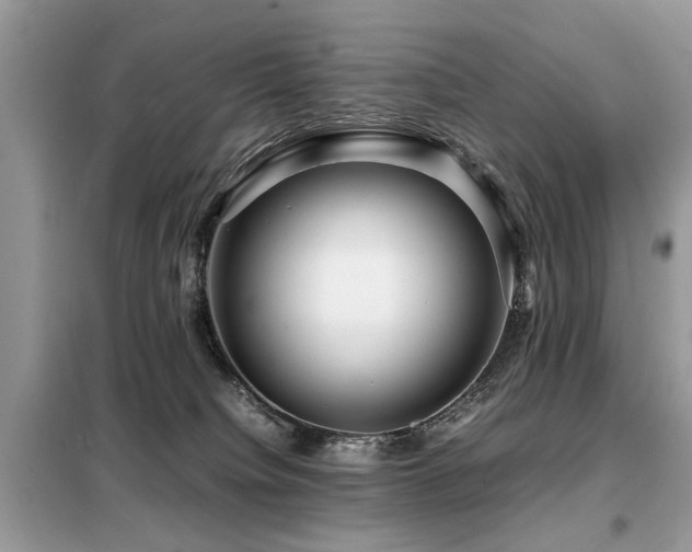 X0000099460084200805091539