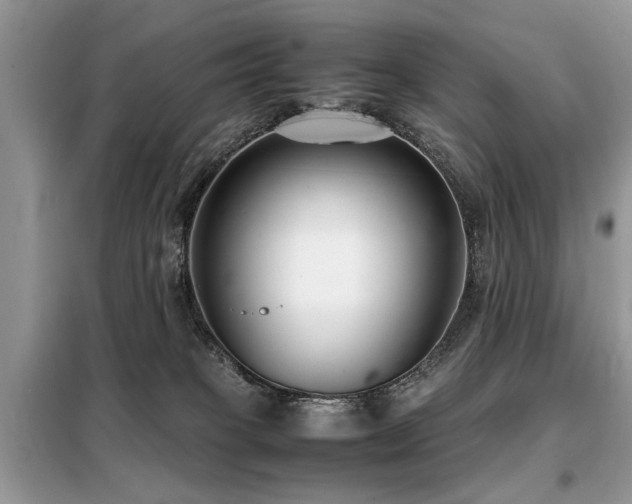 X0000099460085200805091539