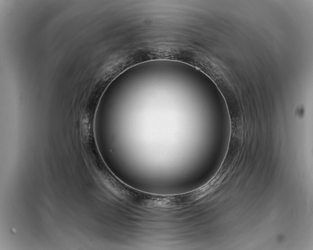 X0000099460086200805091539