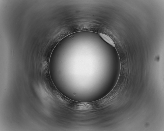 X0000099460087200805091539