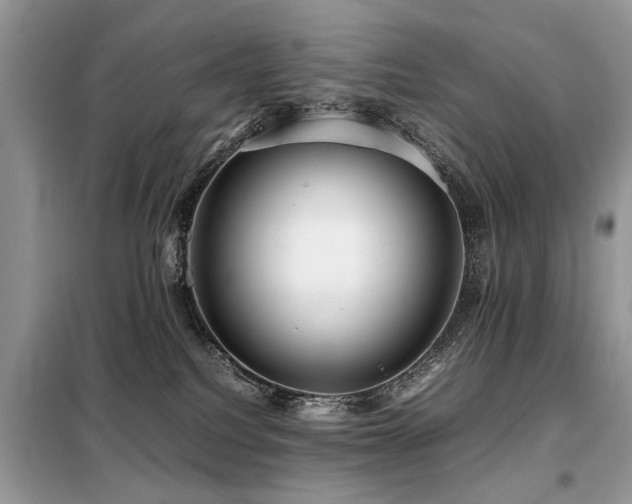 X0000099460088200805091539