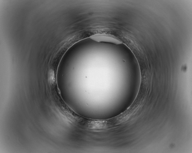 X0000099460089200805091539