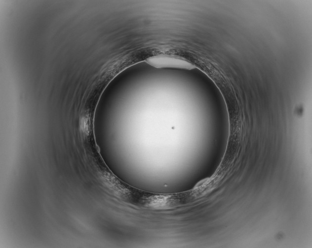 X0000099460090200805091539