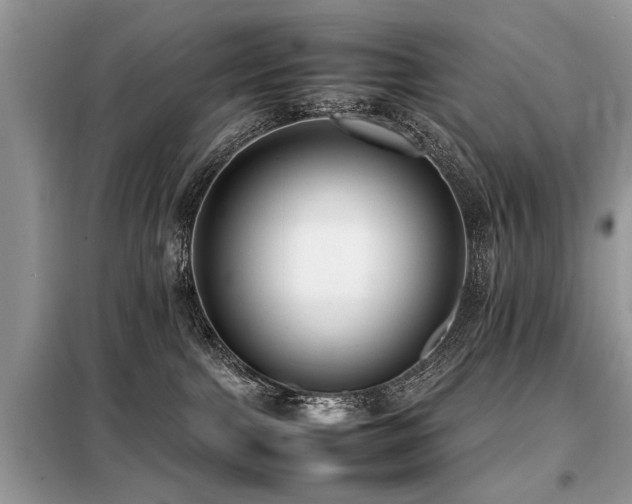 X0000099460091200805091539