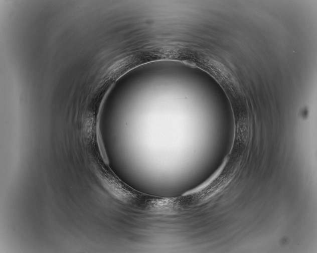 X0000099460092200805091539