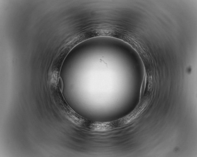 X0000099460093200805091539