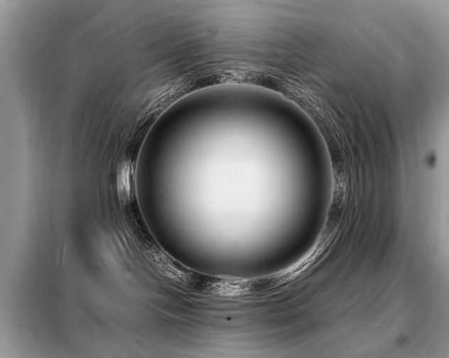 X0000099460094200805091539