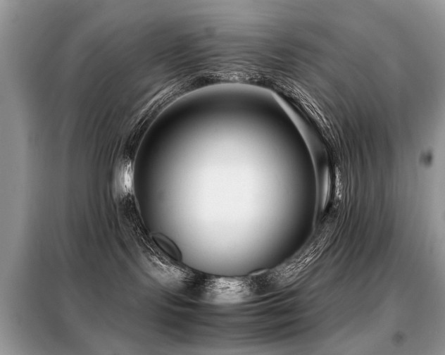 X0000099460095200805091539